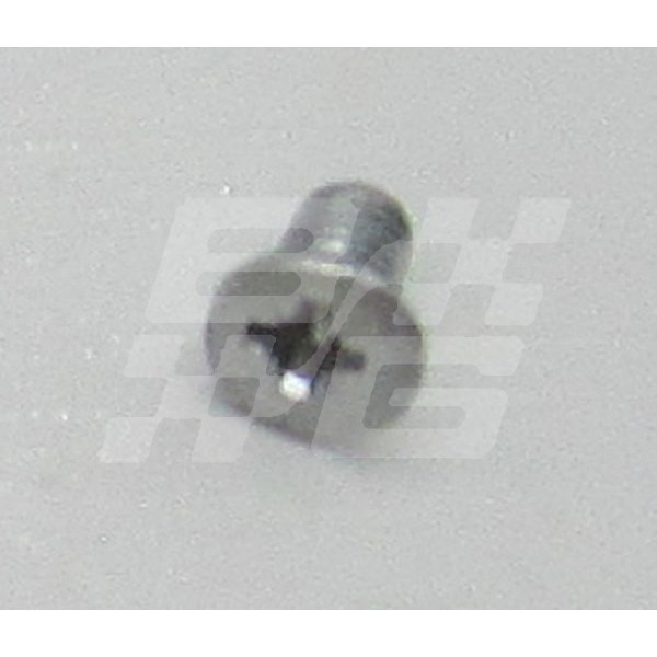 Image for Chrome screw c/s 3/16