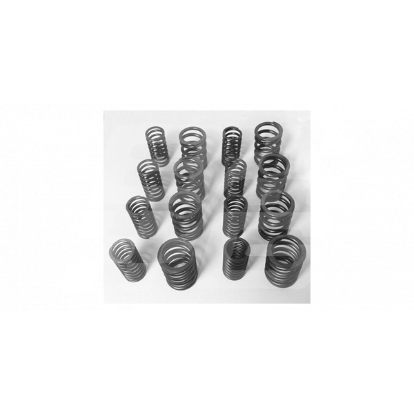 Image for MGA/B Comp valve spring set