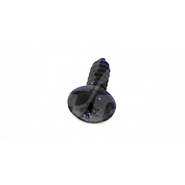 Image for Flanged Screw (Black) MGF TF