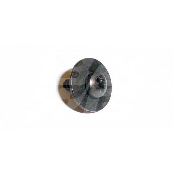 Image for Screw and washer (black)