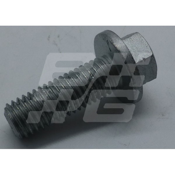Image for Screw Flanged M12 x 35mm