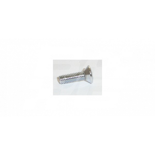 Image for CHROME SCREW