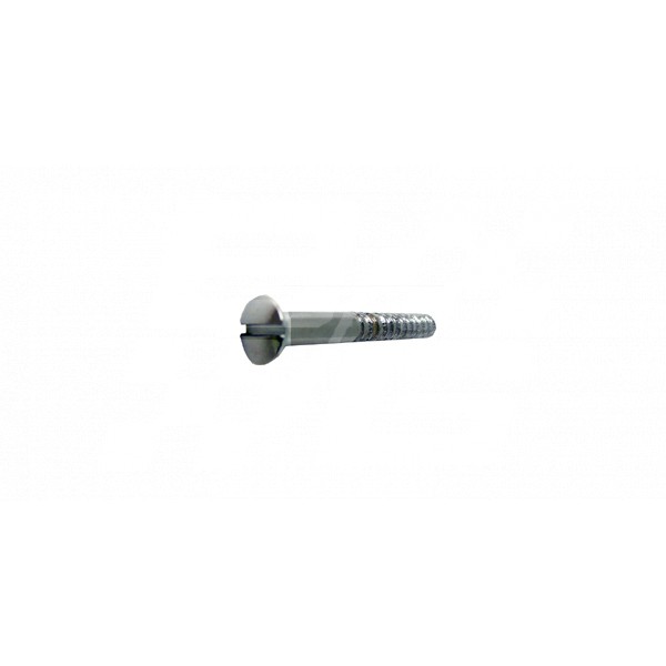 Image for Chrome wood screw slotted