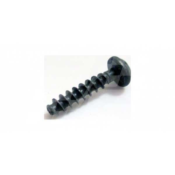 Image for SCREW  BLACK RV8